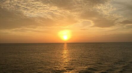 Image for Green hydrogen IS electrification