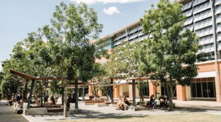 Image for UniSQ researchers attract $1.1 million funding