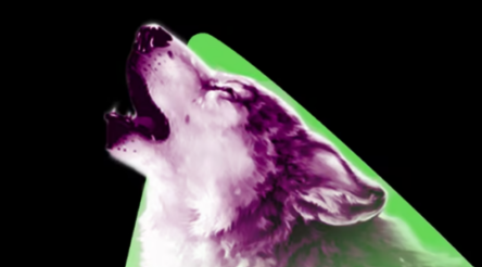 Image for Aristocrat’s strong recovery from Covid slump