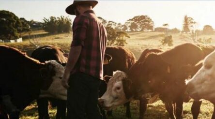 Image for Nature-based technologies best for carbon sequestration – report