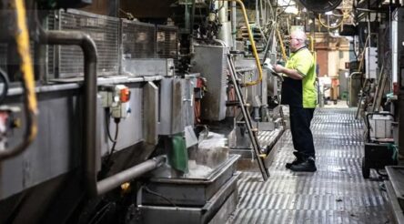 Image for Government looks to revive wool processing