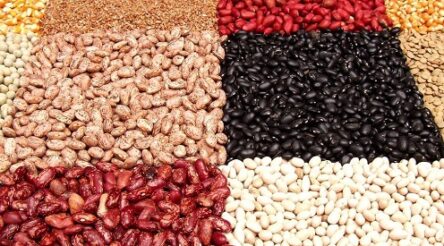 Image for Alternative proteins backed in NSW tech central grants