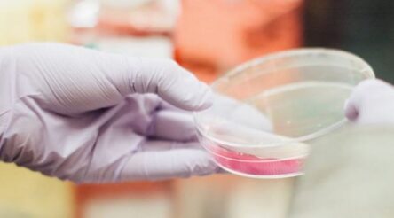 Image for LBT Innovations and AstraZeneca to develop AI systems