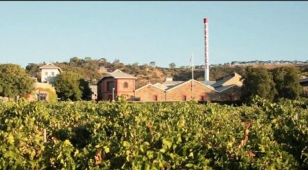 Image for Luxury wines come good for Penfolds restructure
