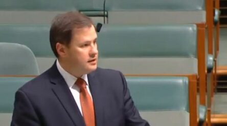 Image for Husic lashes LNP ‘null-alition’ over manufacturing fund