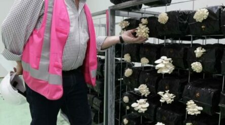 Image for Former Holden site at Elizabeth now producing premium mushrooms