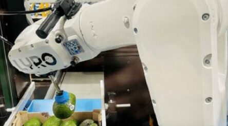 Image for Robots and radiotherapy among projects awarded $18 million in Accelerating Commercialisation grants