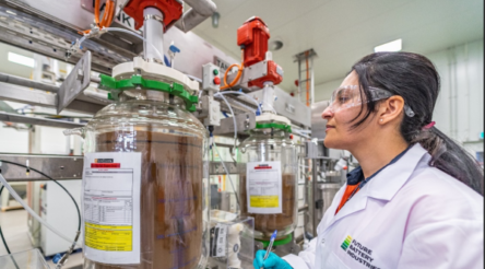 Image for Australia’s battery opportunities growing fast