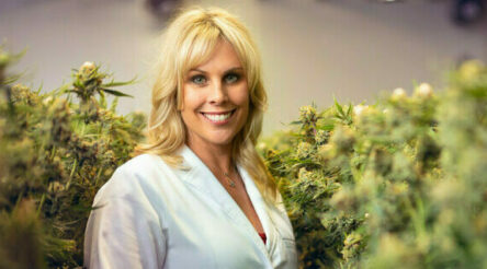 Image for Little Green Pharma raises $5 million in placement