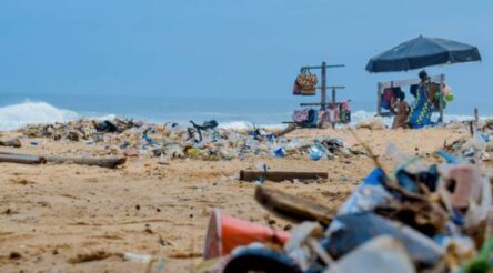 Image for Plastic eating fungi get to work