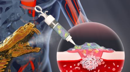 Image for Snakebite treatment stems severe bleeding