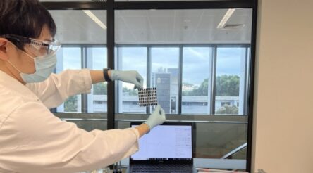 Image for UNSW researchers secure $5.5 million for quantum computing, fusion and other projects