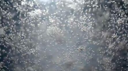 Image for PWR and aluminium specialist Constellium to partner on heat exchangers