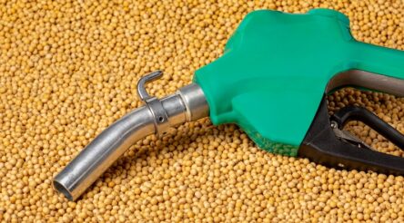 Image for There’s a buzz about ‘sustainable’ fuels – but they cannot solve aviation’s colossal climate woes