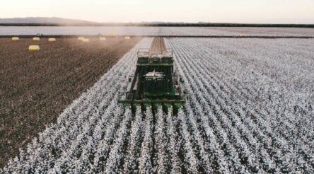 Image for WA’s first cotton processing plant closer with order