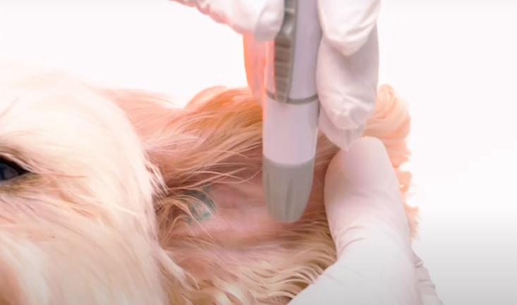 Screenshot 2023-05-03 124905