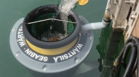 Image for Seabin seeks to raise $5 million through equity crowdfunding for impact data offering