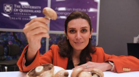 Image for Biodegradable bags to revolutionise mushroom farming
