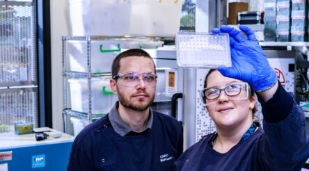 Image for CSIRO to invest $25 million in Advanced Engineering Biology program