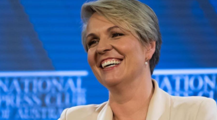 Image for Plibersek steps in to cut packaging waste in rebuke to industry efforts