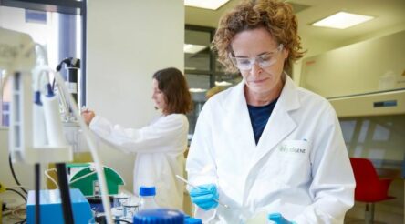 Image for HydGene Renewables backed for hydrogen from biomass