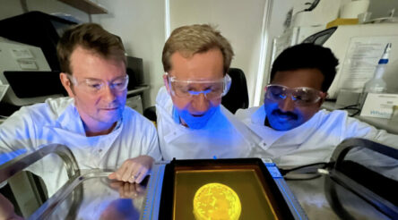 Image for UQ team shows how yeast can be used as a sensor for virus detection