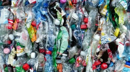 Image for Applications open for free Innovate to Grow: Ending Plastic Waste program