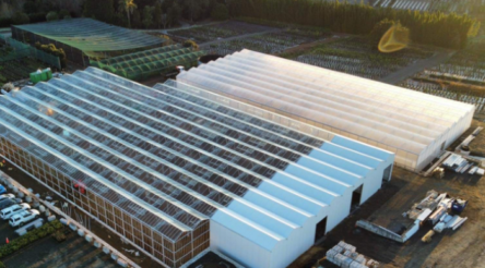 Image for Apex Greenhouses sells minority interest to tackle climate issues