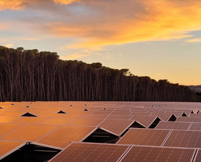 Screenshot 2023-07-19 071504