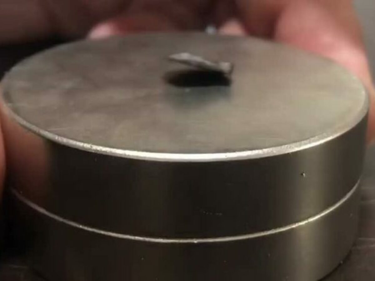 20230725-7-i9o54y-e1690844563975-1200×900-c-default (1)