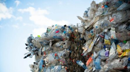 Image for Pact Group prepares for reinvestment and focus on recycling