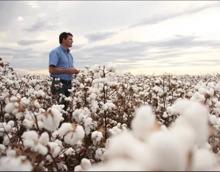 Screenshot 2023-08-04 072318