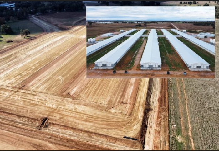 Screenshot 2023-08-07 223357