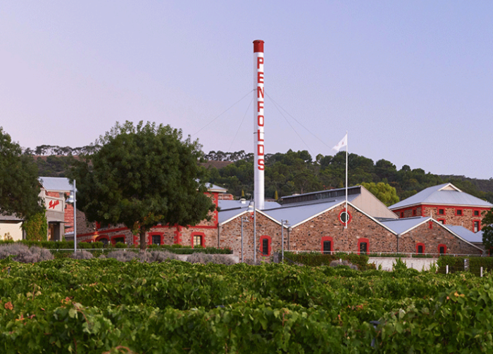 Waiting for China, winemakers last cab off the rank