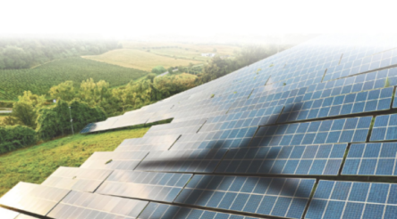 Image for CSIRO, Boeing map the way to sustainable aviation fuel