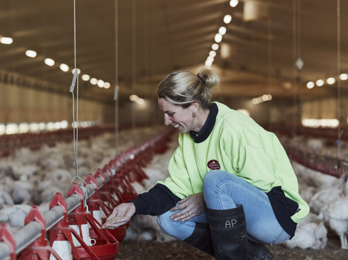 Screenshot 2023-08-17 145502