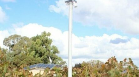 Image for SA AgTech Growth Fund winners announced