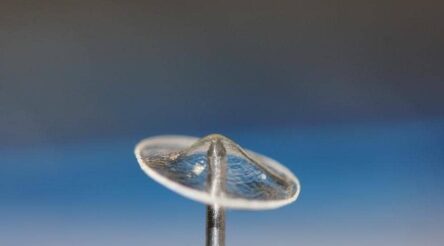 Image for This year’s WA Innovator of the Year finalists announced