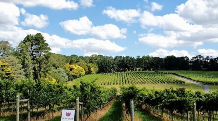 Image for First NSW renewable energy zone reaches milestone