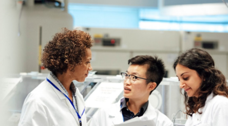 Image for UNSW students to build small scale nuclear fusion device