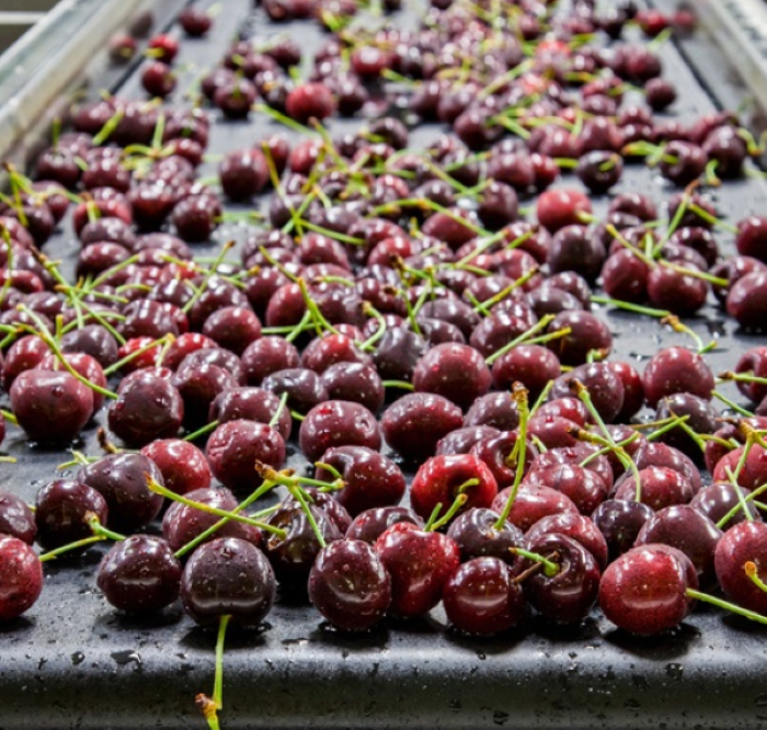 Screenshot 2023-09-18 071748