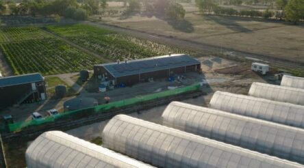 Image for ECS Botanics achieves first profit before tax in FY23