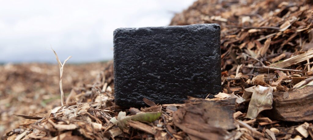 The New Reinventors: remaking steelmaking with wood waste