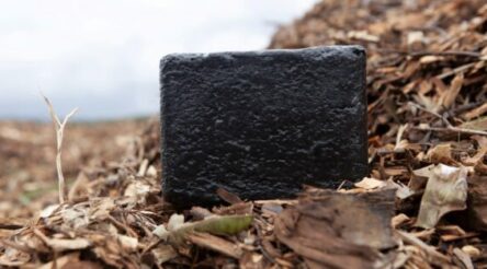 Image for The New Reinventors: remaking steelmaking with wood waste