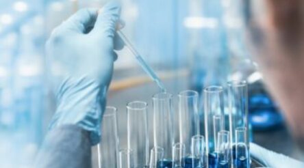 Image for Wide Open Agriculture aims for plant protein dominance