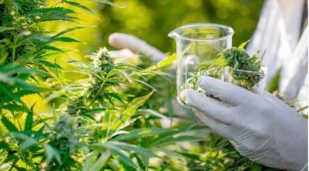 Image for Manufacturing news briefs — stories you might have missed