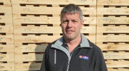 Image for CMTP evolves from pallets to modular housing