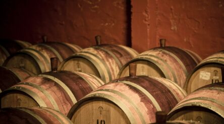 Image for Federal government shouldn’t sacrifice renewable energy manufacturing for wine exports: Weld Australia