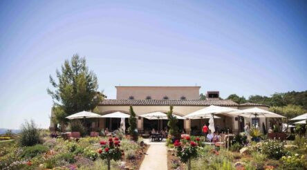 Image for Treasury Wine Estates in huge US wine brand buy