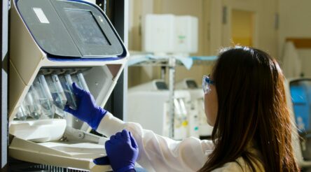 Image for  GenomeFrontier selects BioCina to help make cancer therapy products